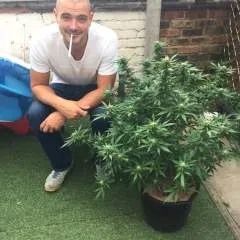 Arrdon photo on Jungo Live