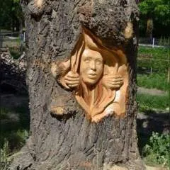 Shahkhan photo on Jungo Live