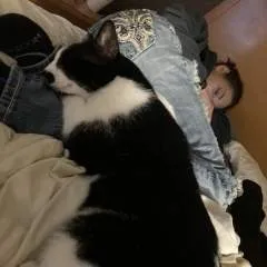 . photo on Jungo Live