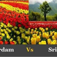 Daksh photo on Jungo Live