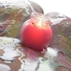 Shimmers photo on Jungo Live