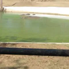 Neer photo on Jungo Live