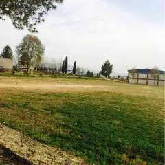 Asghar photo on Jungo Live