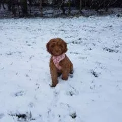 Hornylad photo on Jungo Live