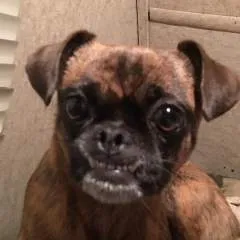 Brian Jen photo on Jungo Live