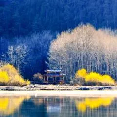 Lex photo on Jungo Live