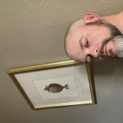 Moose Sick photo on Jungo Live