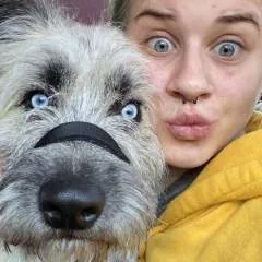 Fresh photo on Jungo Live