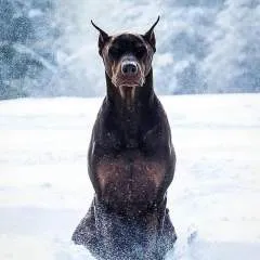 Liveisaplay photo on Jungo Live