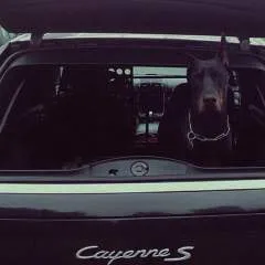 Liveisaplay photo on Jungo Live