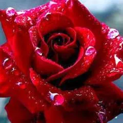 Billysam photo on Jungo Live