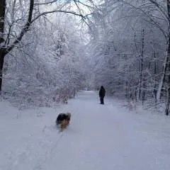 Fee photo on Jungo Live