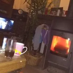 Fee Fee photo on Jungo Live