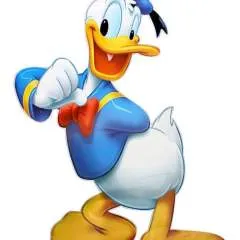 Timmy.... photo on Jungo Live