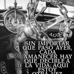 Brisa photo on Jungo Live