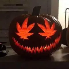 Password.... photo on Jungo Live