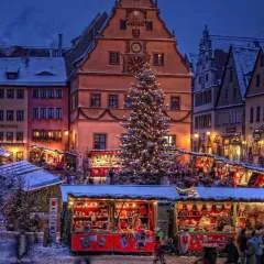 Password.... photo on Jungo Live