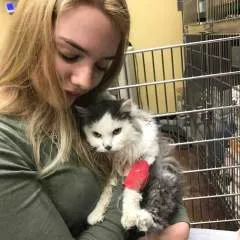 Anal photo on Jungo Live