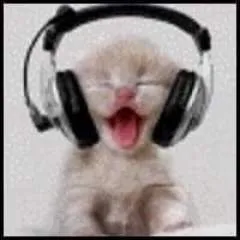 Teasememiss photo on Jungo Live