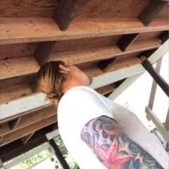 Calthistle photo on Jungo Live