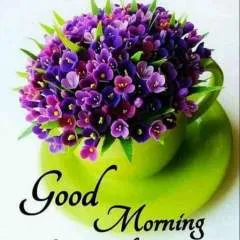 Nagaraj photo on Jungo Live