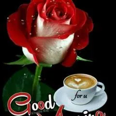 Nagaraj photo on Jungo Live