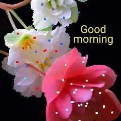 Nagaraj photo on Jungo Live