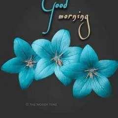 Nagaraj photo on Jungo Live