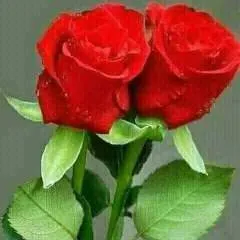 Dean photo on Jungo Live