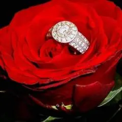 Dean photo on Jungo Live