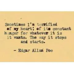 Shell photo on Jungo Live