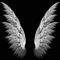 Jake photo on Jungo Live