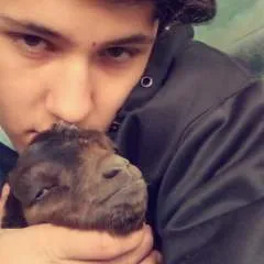 Sucker photo on Jungo Live