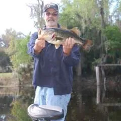 Sugar Daddy photo on Jungo Live