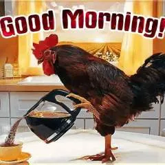 Rani photo on Jungo Live