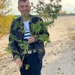 Strenger........ photo on Jungo Live