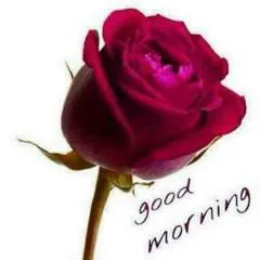 Raja photo on Jungo Live