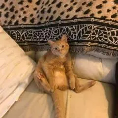 Pola photo on Jungo Live