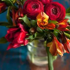 Smiley photo on Jungo Live