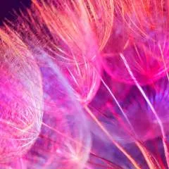 Smiley photo on Jungo Live