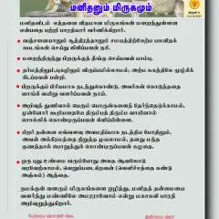 Das photo on Jungo Live