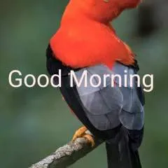 Karan Singh photo on Jungo Live