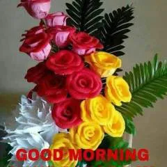 Pulakintha photo on Jungo Live