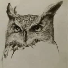 Tigertrainer66 photo on Jungo Live