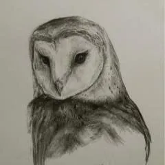 Tigertrainer66 photo on Jungo Live