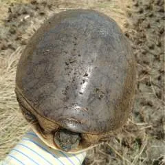 Vicky photo on Jungo Live