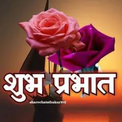 Montu photo on Jungo Live