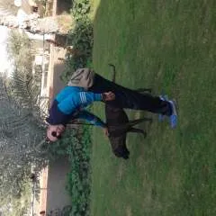 Titoo photo on Jungo Live