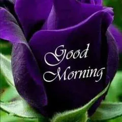 Chuks.... photo on Jungo Live