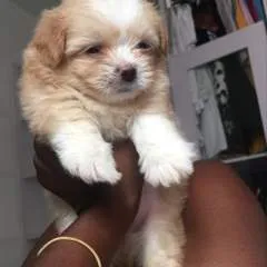 Londyyonmaam photo on Jungo Live